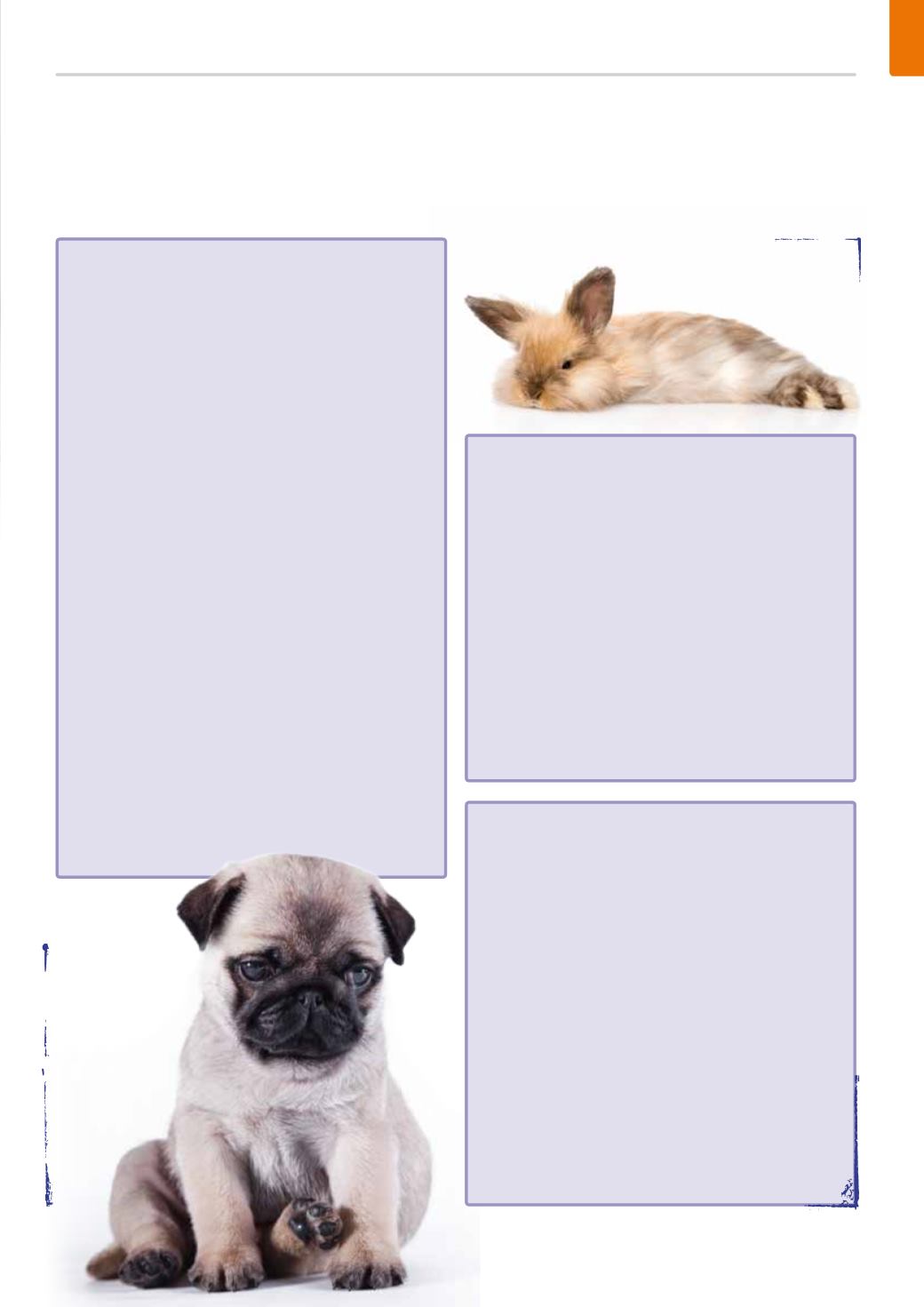 Tierarztmagazin 022016